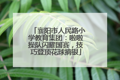 襄阳市人民路小学教育集团：啦啦操队闪耀国赛，技巧登顶花球摘银